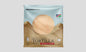 WHITE FLOUR TORTILLA 6 WRAPS