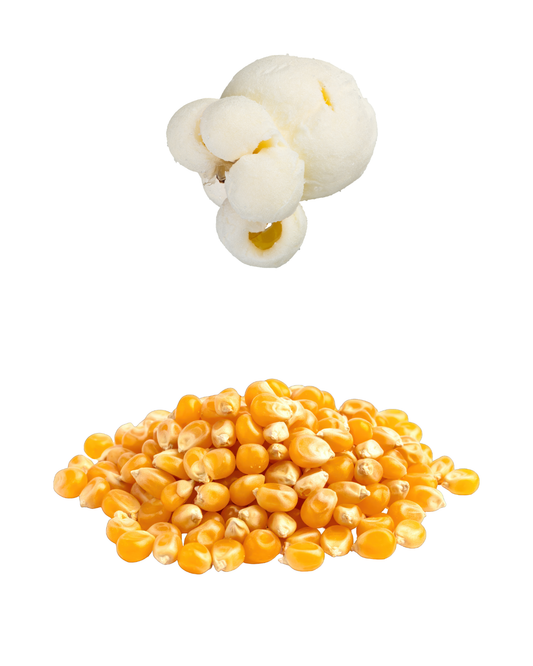 POPCORN MUSHROOM 500G