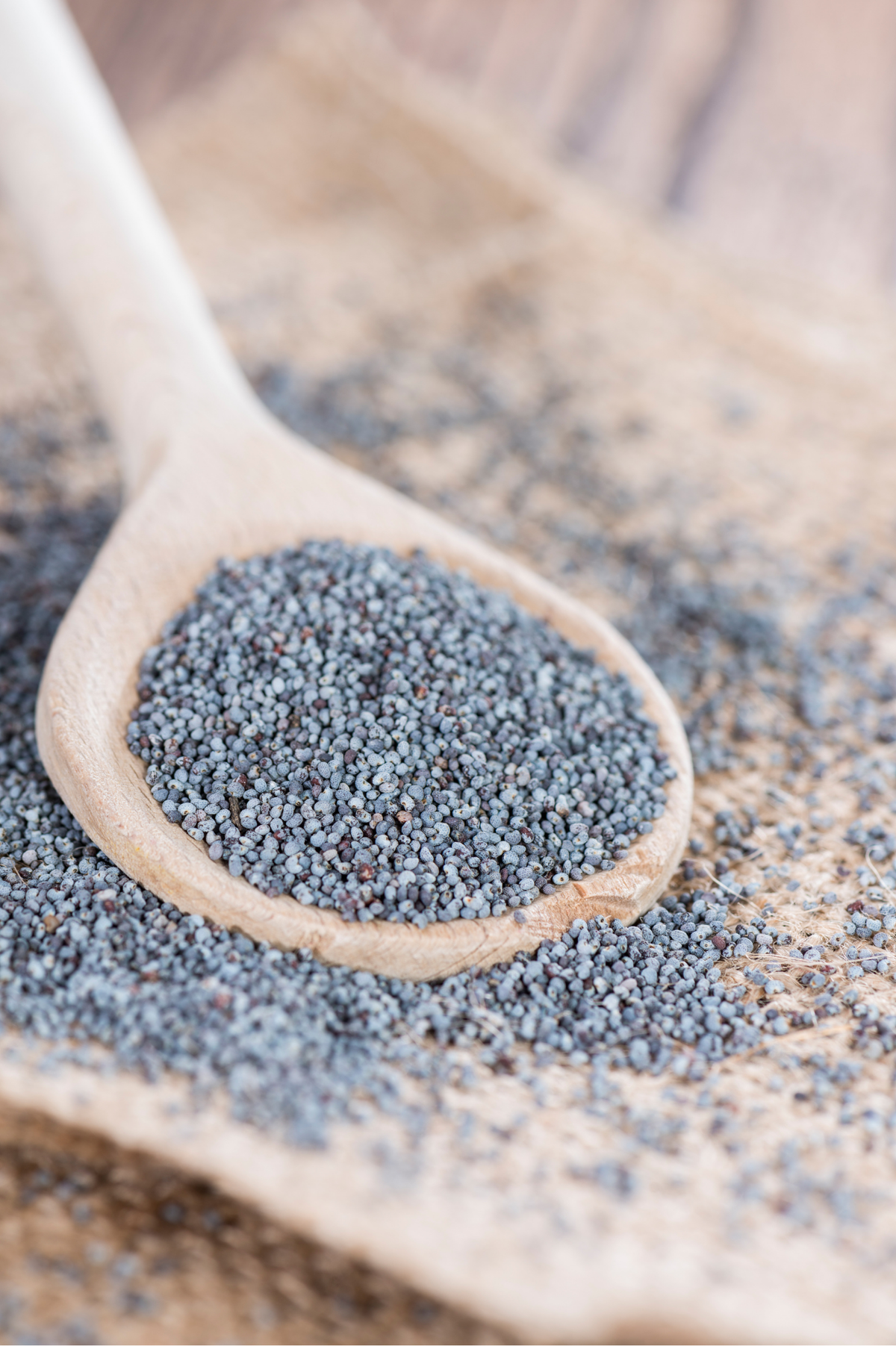 POPPYSEED 250G